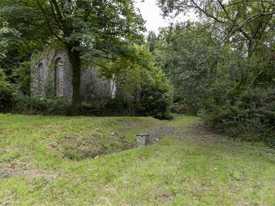 Picture 39